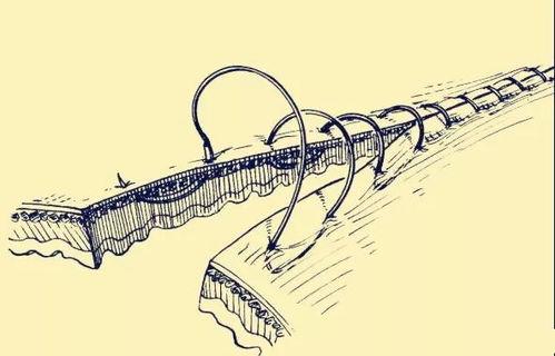 外翻缝合视频,视频教程深度解读