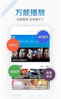 灰灰在线视频,揭秘高效学习与生活平衡的秘诀