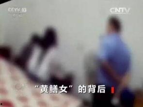 黄鳝门视频,揭秘网络直播的道德边界与监管挑战