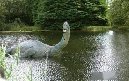 中国水怪视频,中国水怪视频揭秘