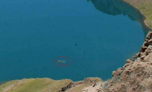 中国水怪视频,中国水怪视频揭秘