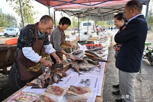 咸鱼卖视频,揭秘二手视频市场的独特魅力