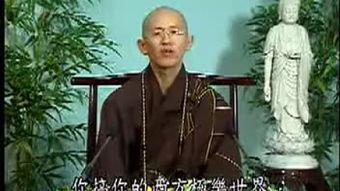 法宣法师视频,禅宗智慧与人生哲理