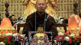 法宣法师视频,禅宗智慧与人生哲理